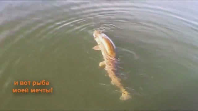 р_Кузнечиха_2012_АРХИВ