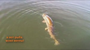 р_Кузнечиха_2012_АРХИВ