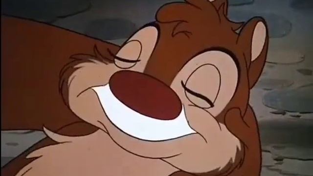 злой бурундук