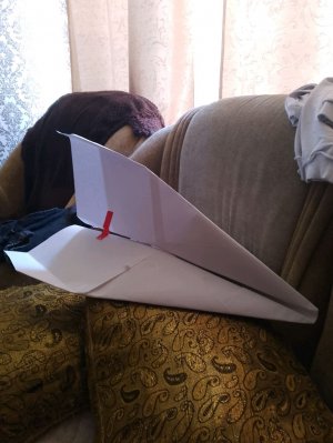 зделала огромный самолëт😱😱😱😱😱😱