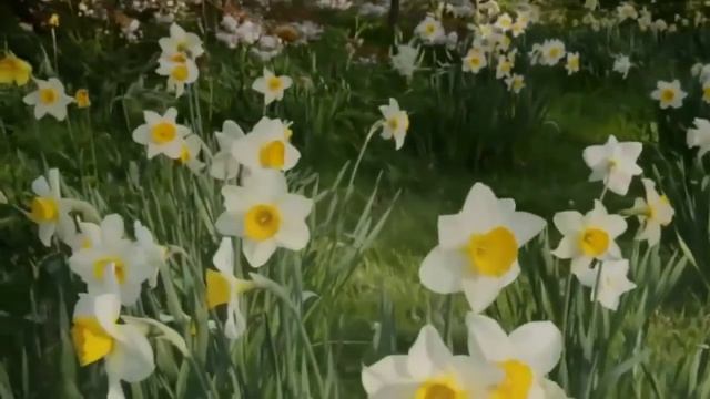 Пробуждение природы.