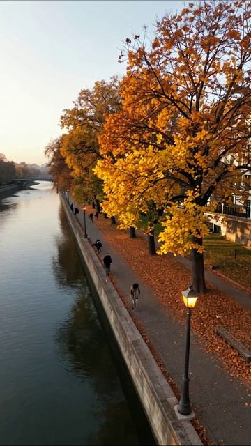 Осенний вечер у реки #осень #природа #город