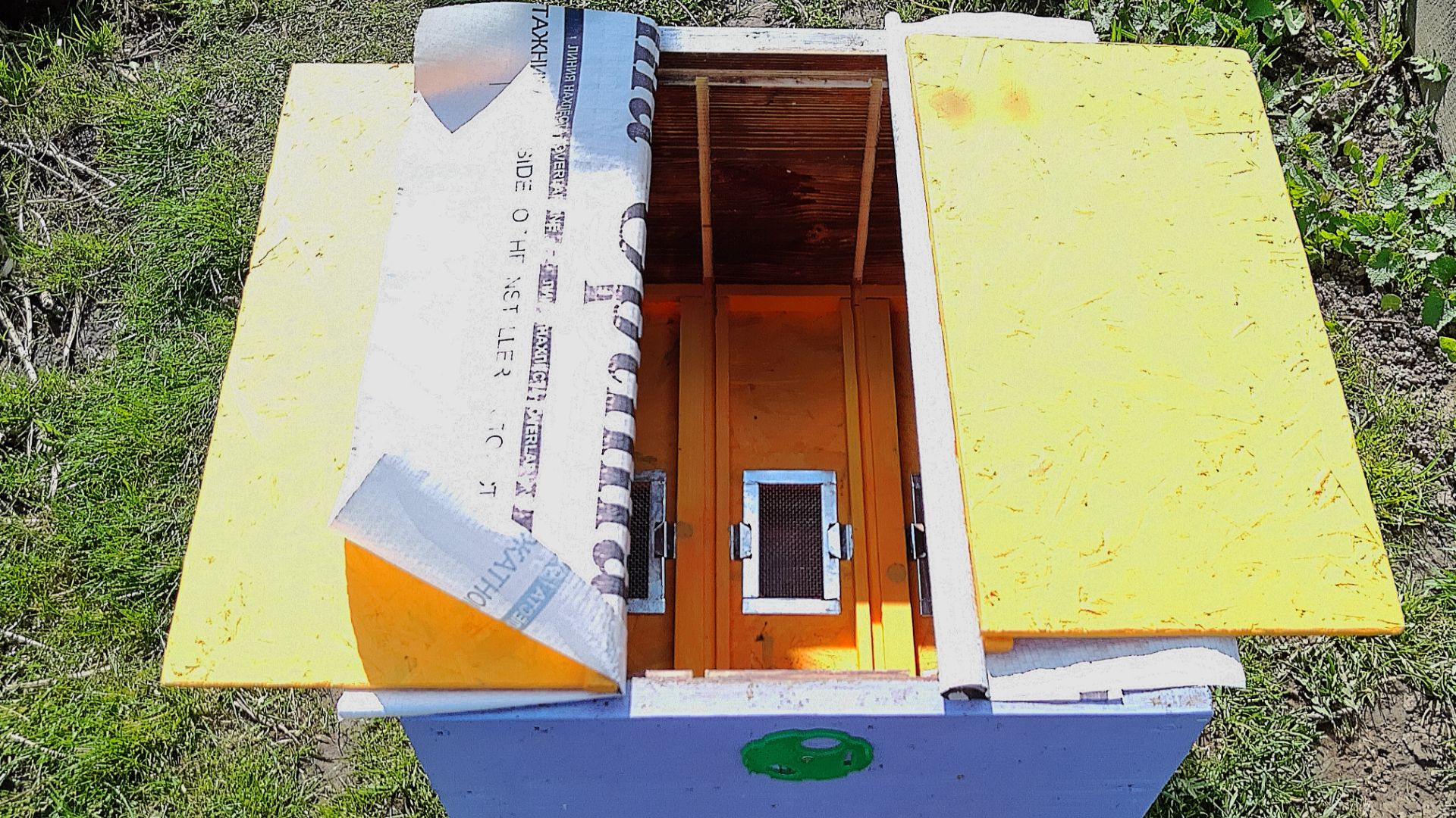 Вывод пчелиных маток