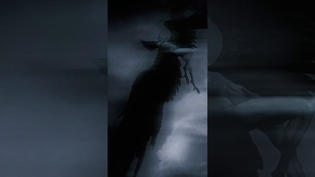 skyfall beats - stoned (visualizer video)