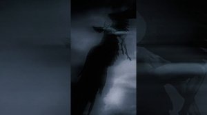 skyfall beats - stoned (visualizer video)