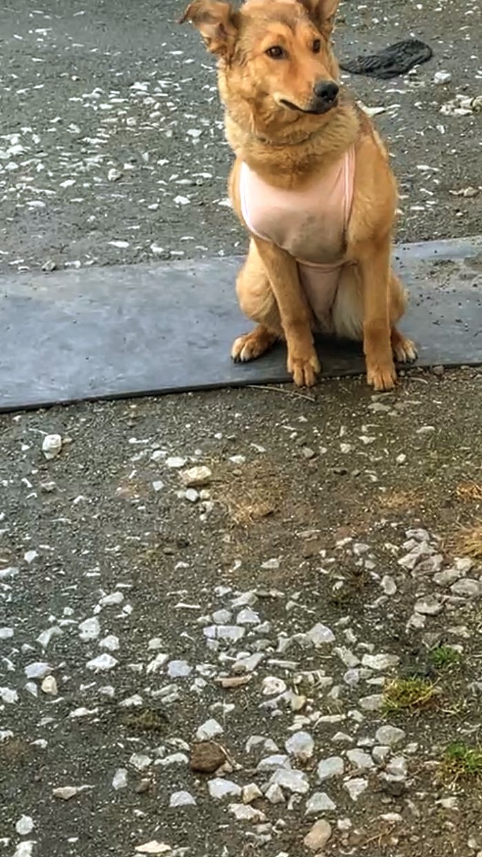 Я ОХРЕНЕЛ от ЦЕНЫ на МЕТАЛЛ,но СДАВАТЬ БУДУ