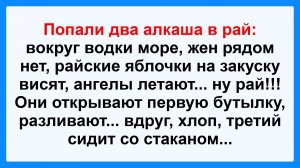 Попали две алкашки в рай... Пикантные, Смешные, Остренькие, Жизненные Анекдоты! Юмор! Смех! Позитив!