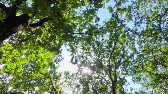 InShot_20260420_063401609_061117