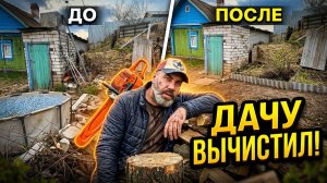 Полный порядок на участке за 25 минут: срезаю клён, убираю бассейн и чищу огород