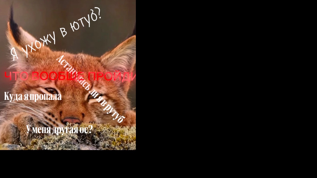 Я УХОЖУ В ЮТУБ? ЧТО ВООБЩЕ ПРОСХОДИТ? КУДА Я ПРОПАЛА? ОСТАНУЛИСЬ Я НА ЮТУБ? Я УДАЛИЛА ВСЕ ВИДЕО Кр ш