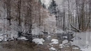 Снежная нежность..Саксофон и снег.