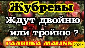 Жубревы Life Vlog _Саня Жубрев _Обзор Влогов _Ждут двойню или тройню_ __