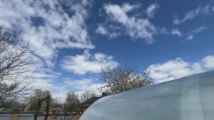 Ветер, холод и весна.