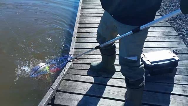 Поимка Форели