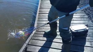 Поимка Форели