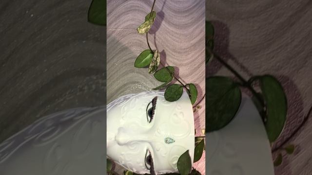 Фитильный полив, пересадка, подготовка грунта. Цветение орхидей, все смешалось🫣 о чем вообще видео