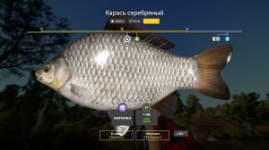 Играем в Russian Fishing 4 ловим карасика и другую рыбку на оз.Комариное.