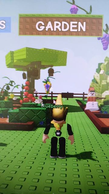 кто может дать Денег вырасти сад