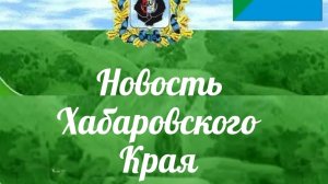 😳Суд назначил компенсацию всего 50 тысяч из-за смерти женщины после нападения собак в Хабаровске