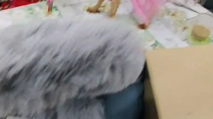 день рождения Милаши