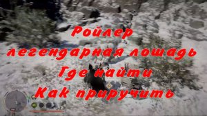 Ройлер легендарная лошадь  Где найти Как приручить оседлать  Crimson Desert
