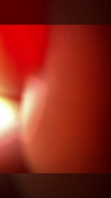 79882266972__918B7FE8-3B34-423F-B9F3-E3711DA9733A