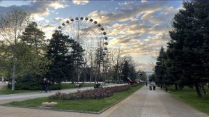 Краснодар. Городской сад. Центральная аллея.