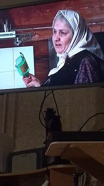 Как можно провести время перед сном