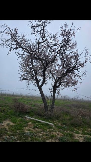 где ветер, там я.mp4