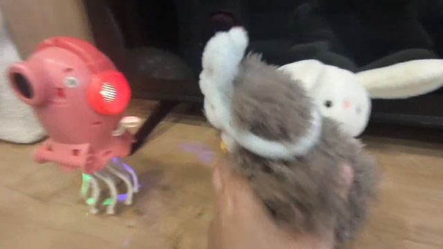 Танцующий осьминог вместе с друзьями.