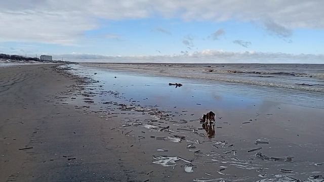 Снег на Белом море