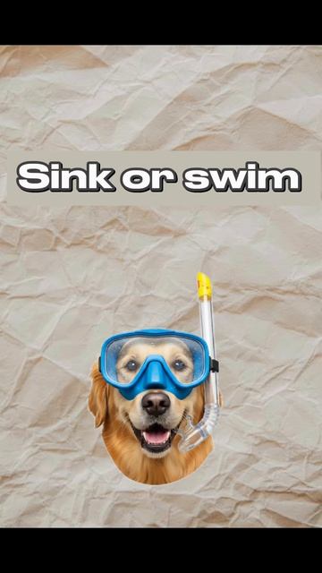 Как сказать по-английски… #spokenenglish #englishpractice #englishvocabulary #learnenglish #english