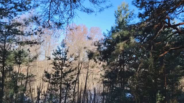 Лучшая работа в мире для простого человека