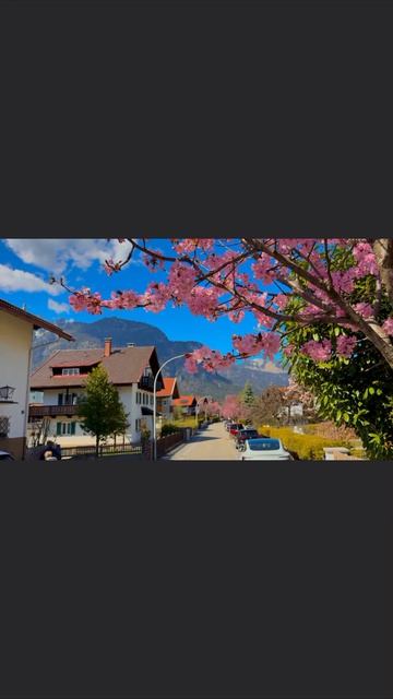 ты так много знаешь