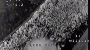 пару кабанчиков сегодня хотело пробежать, но так и осталось там #сво #СВО #мобилизация