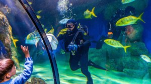 Москвариум.