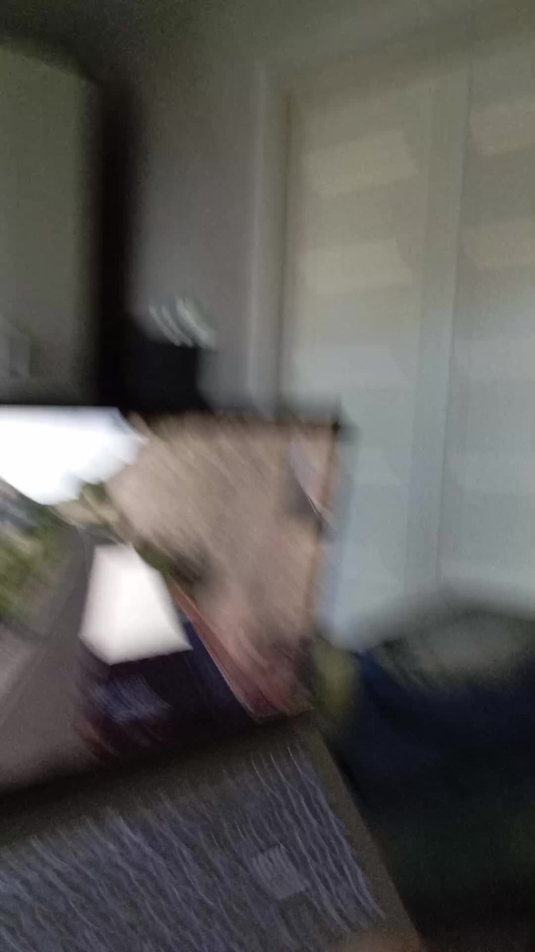 евра трак семулятор