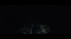 Видео от МЭН - Мне Это Нравится