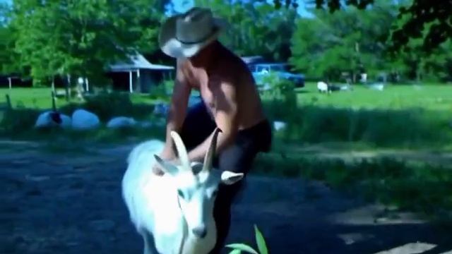 Укрощение мустанга🥴