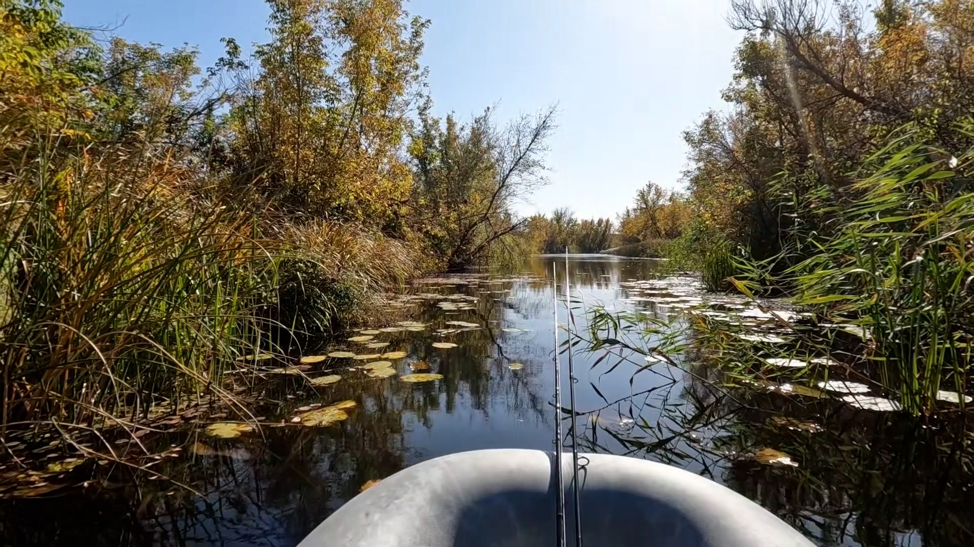 Закрытие осеннего сезона по щуке.