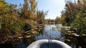 Закрытие осеннего сезона по щуке.