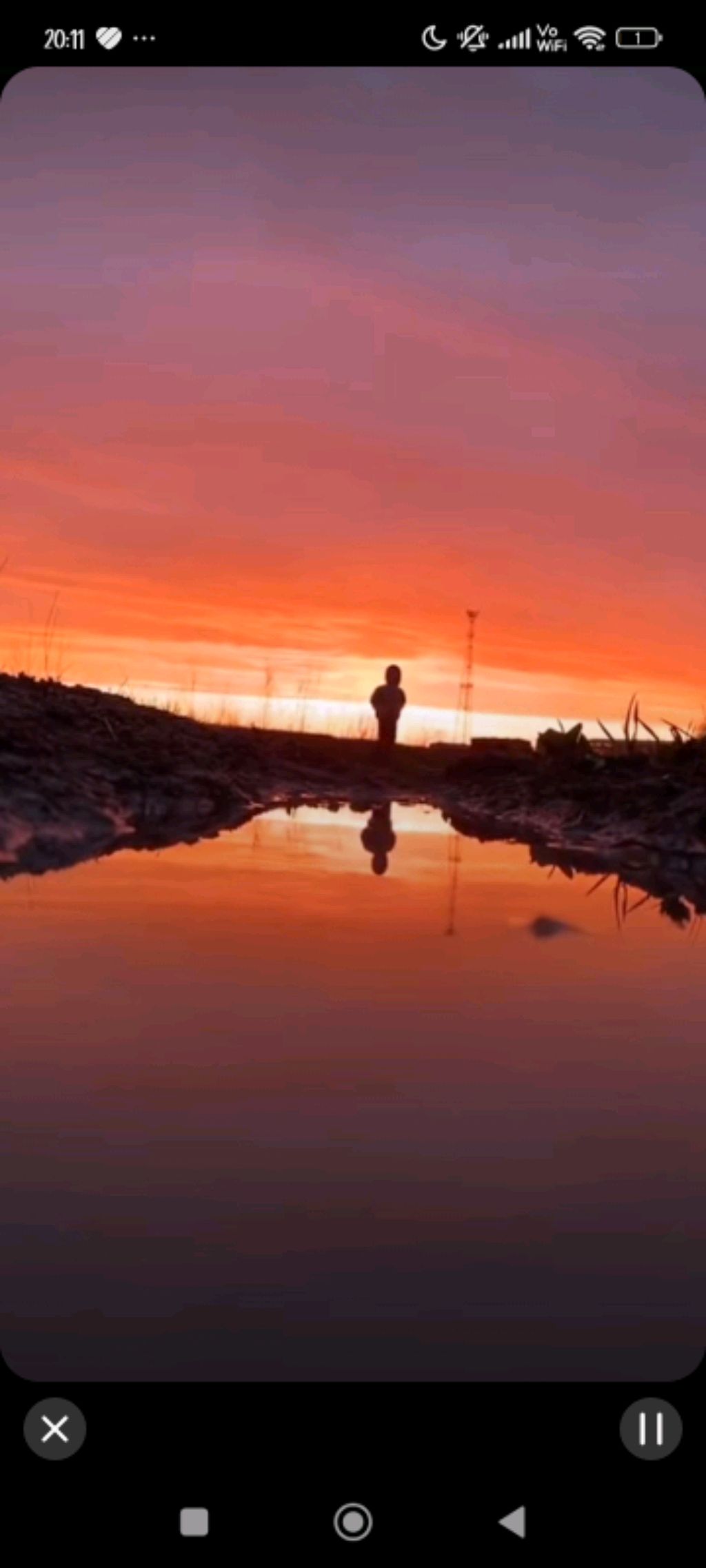 Скучно,поэтому просто снимаю на камеру дневник кота сапиенса.