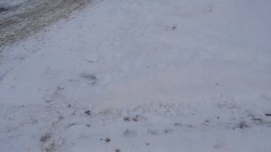 Зима не хочет уходить!