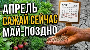 Ждёте мая—потеряете урожай! Что сеять ПРЯМО СЕЙЧАС в апреле для ранней зелени