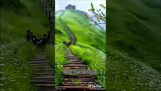 Постойте года.