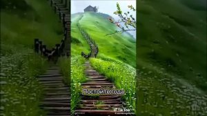 Постойте года.