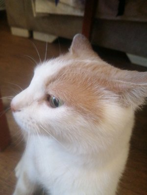 Играем в PUBG