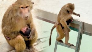 Поговорим? Деньги, претензии, упрёки, осуждения. Поддержка и ваша любовь! Дом2 жует и слушает!