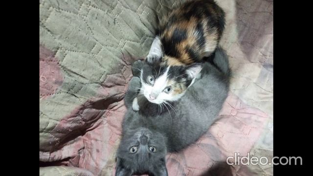 СТИХИ НА КАНАЛЕ