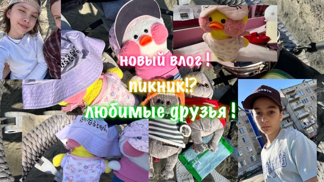 влог уточек мишки и мимилки , пикник !